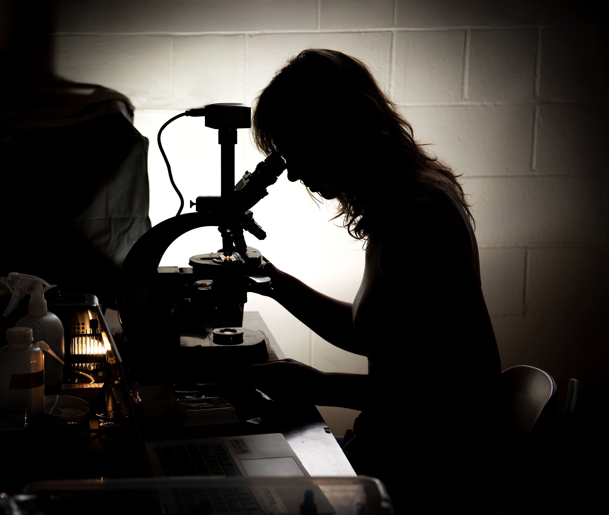 silhouette of a woman looking in a microscope