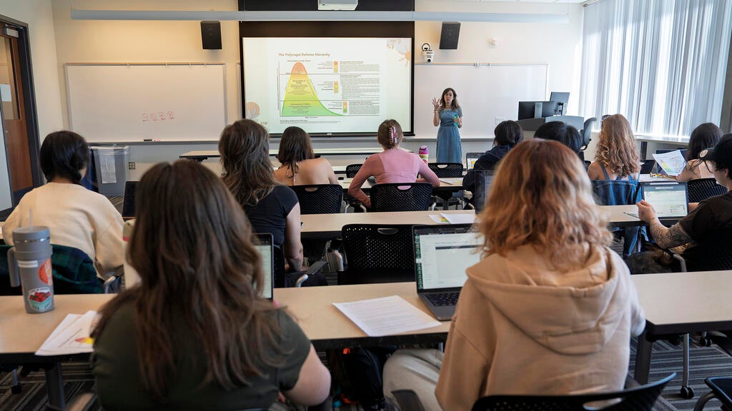 a professor teaches students in a classroom