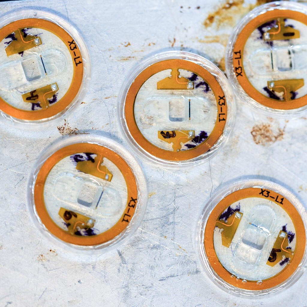 Samples from a lab
