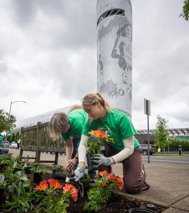 a woman plants flower in front of tower